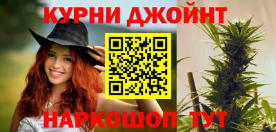 сатива Нальчик