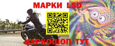 сатива Нальчик