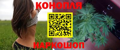 сатива Нальчик